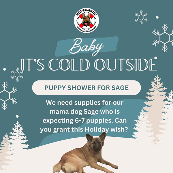 Please contribute to Sage's Puppy Shower